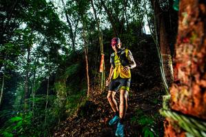 BIB: 
                            <button type="button" onclick="openModal(26198398)" class="btn btn-primary btn-sm float-right btn-popup" data-toggle="modal" data-target=".modal-high-quality">
                        <i class="fas fa-shopping-cart"></i> Add to Cart
                    </button>
                                            <button type="button" onclick="isThisMe(26198398, true)" class="btn btn-success btn-sm float-right btn-popup btn-isme hidden" data-toggle="tooltip" data-placement="bottom" title="นี่คือรูปของคุณใช่ไหม คลิกที่นี่เพื่อเอาเข้าอัลบั้ม">
                        <i class="fas fa-plus"></i> Add to album
                    </button>
                    <button type="button" onclick="isThisMe(26198398, false)" class="btn btn-warning btn-sm float-right btn-popup btn-isnotme hidden">
                        <i class="fas fa-ban"></i> Remove from album
                    </button>